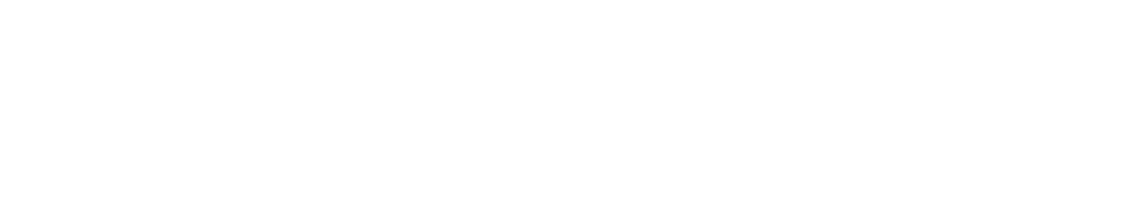 carosuel img